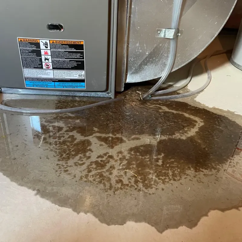 Appliance Leak Cleanup in Maysville, GA